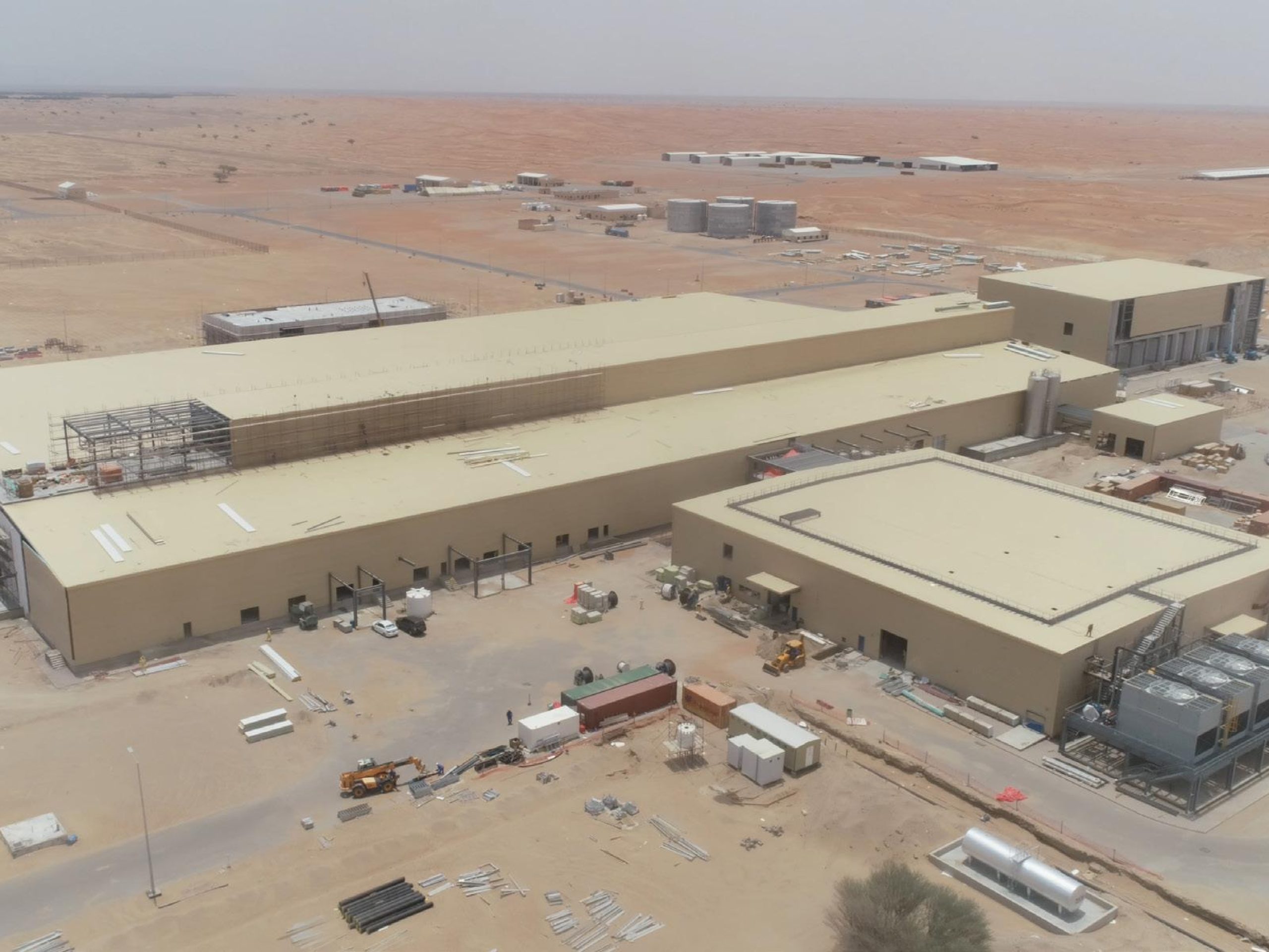 mazoon dairy company